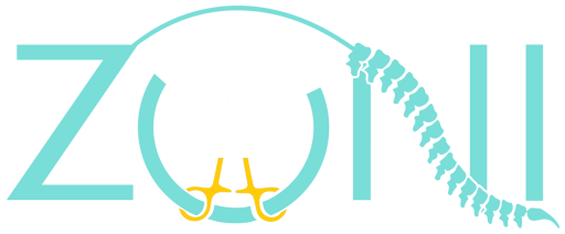 Zoni Surgical