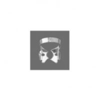 Lower Molars