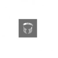 Lower Molars