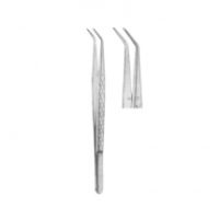 Dental Tweezers