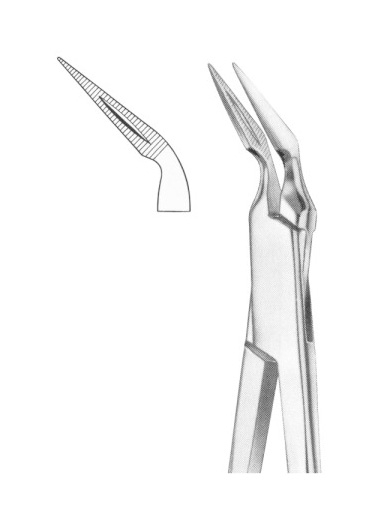 Root Splinter Forceps