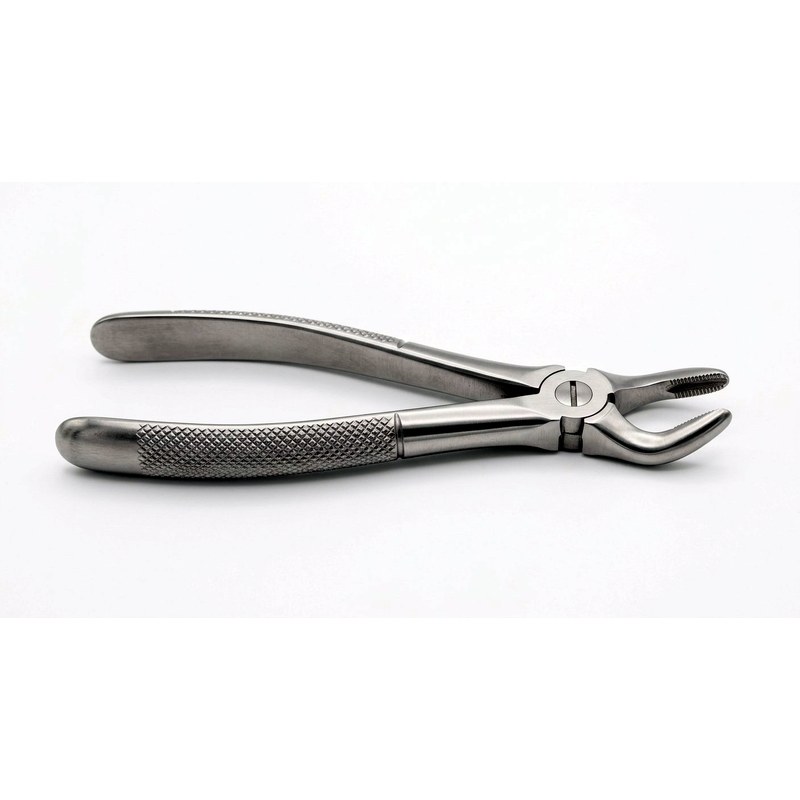 WOODWARD Fig. 335-FH lower molars